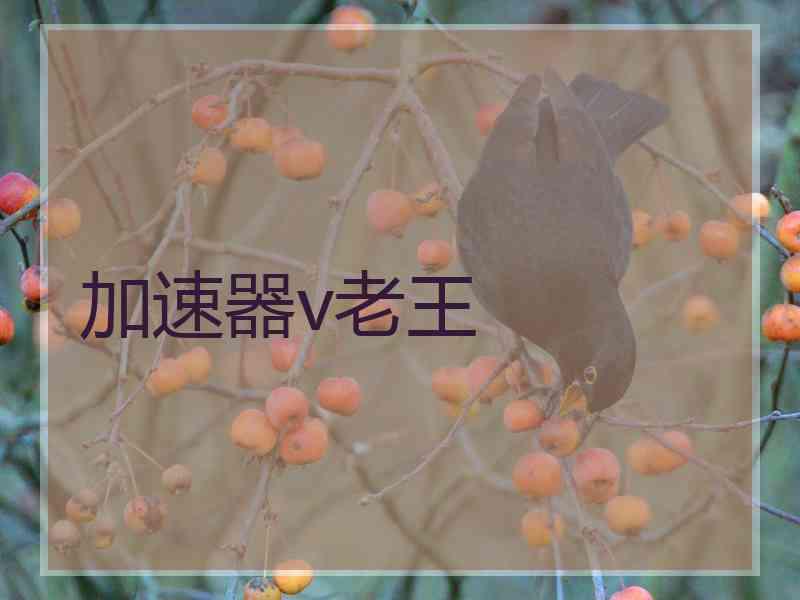 加速器v老王