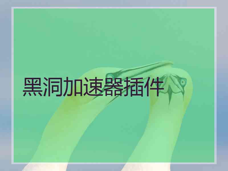 黑洞加速器插件