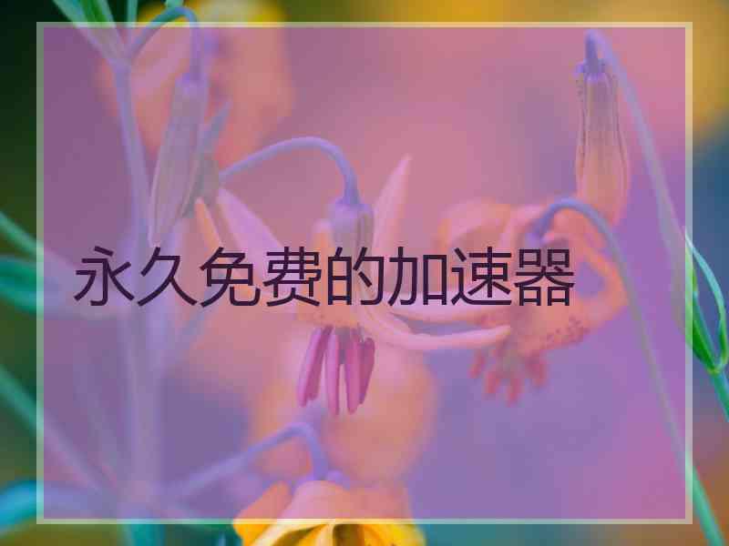 永久免费的加速器