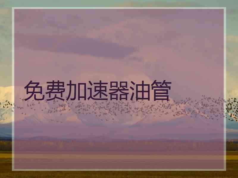 免费加速器油管
