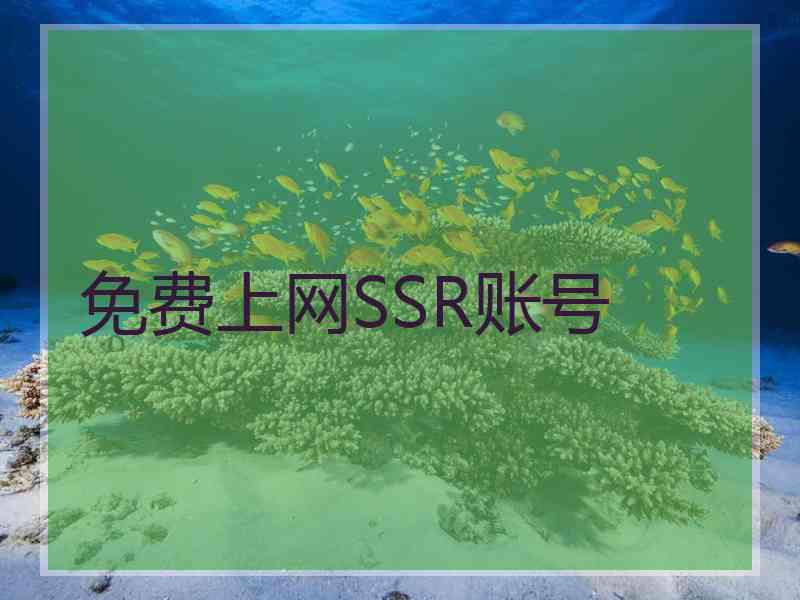 免费上网SSR账号