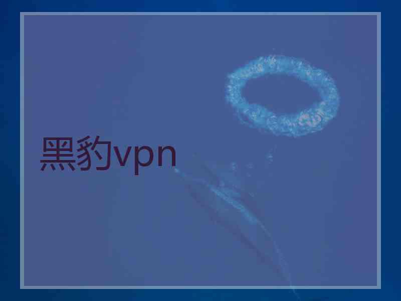 黑豹vpn