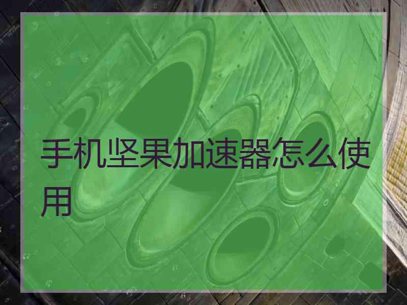 手机坚果加速器怎么使用