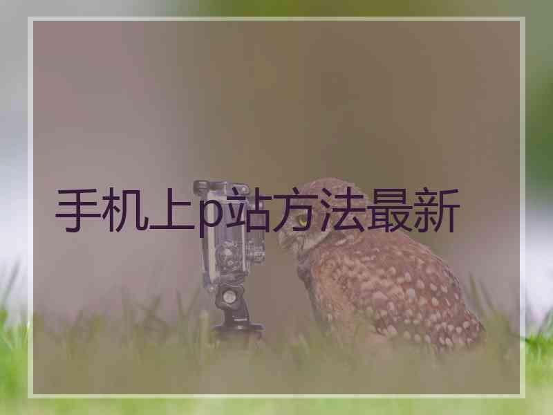 手机上p站方法最新