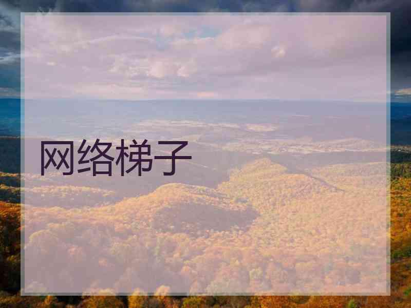 网络梯子