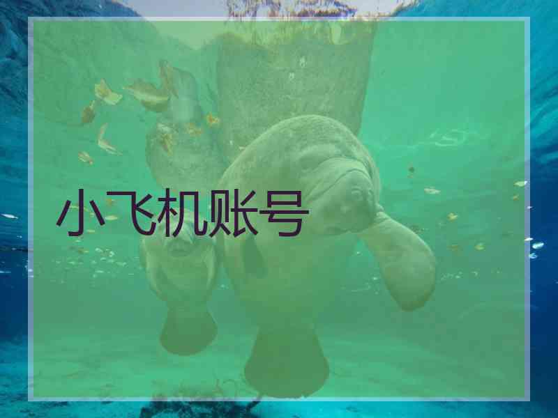小飞机账号