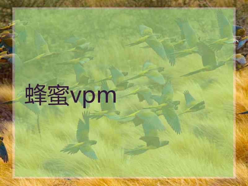 蜂蜜vpm
