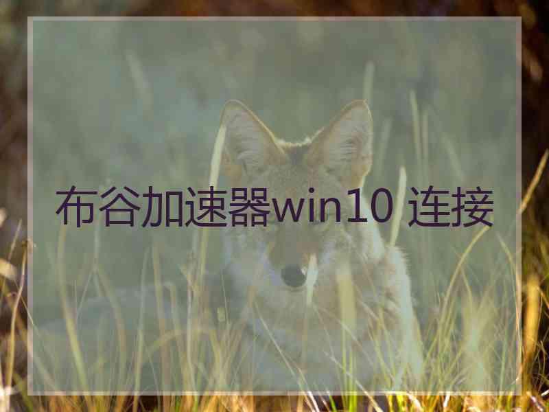 布谷加速器win10 连接