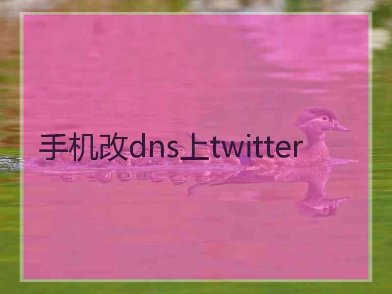 手机改dns上twitter