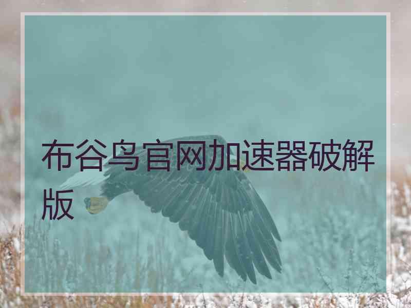 布谷鸟官网加速器破解版