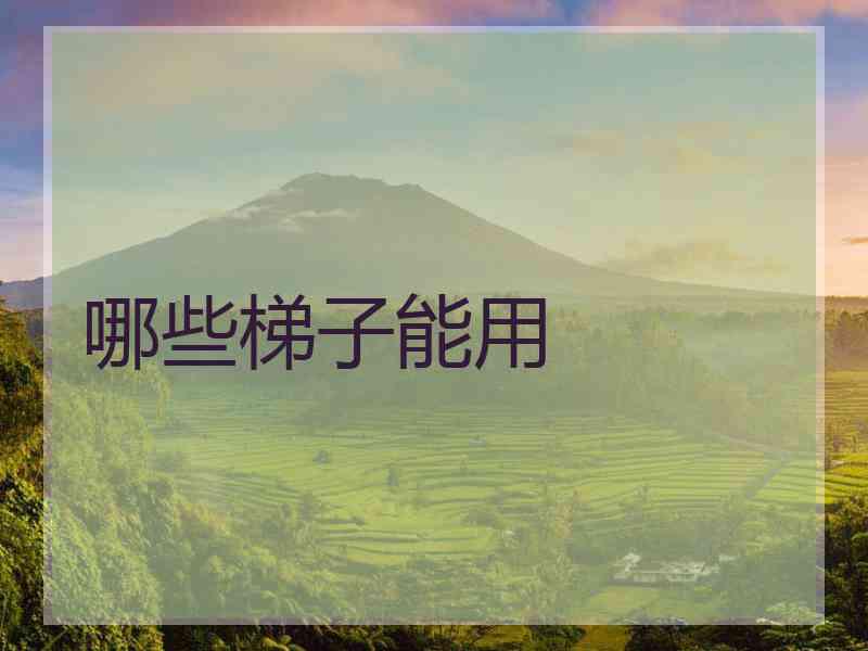 哪些梯子能用