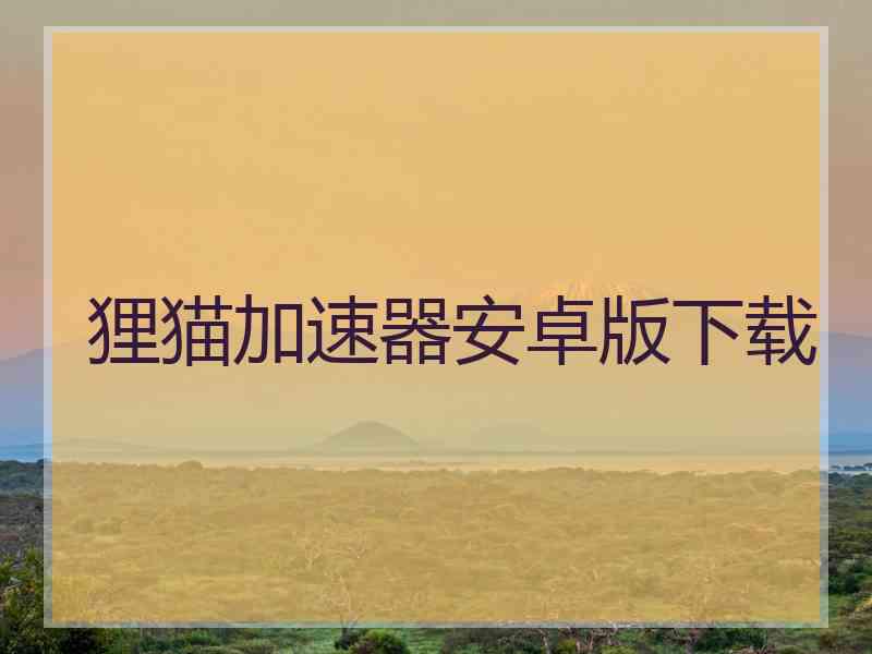 狸猫加速器安卓版下载