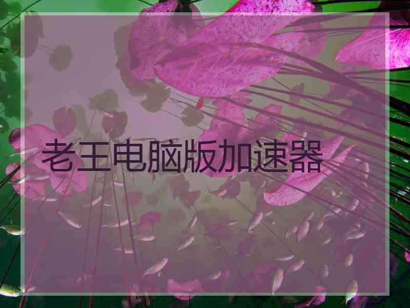 老王电脑版加速器