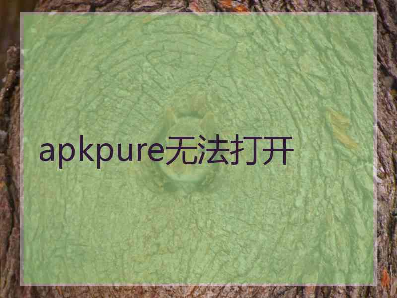 apkpure无法打开