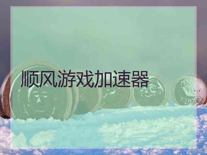 顺风游戏加速器