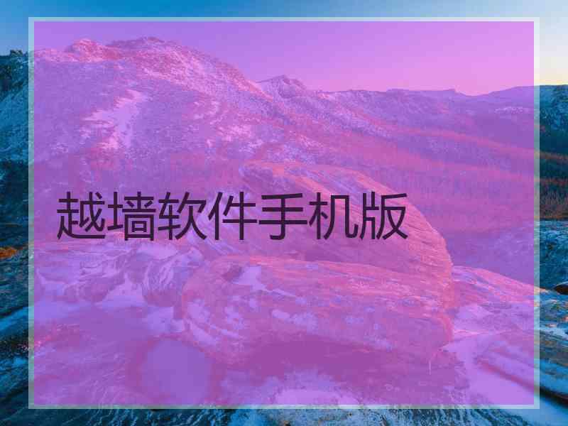 越墙软件手机版