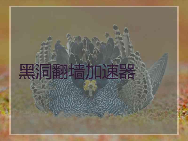 黑洞翻墙加速器