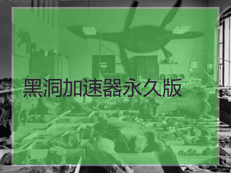 黑洞加速器永久版