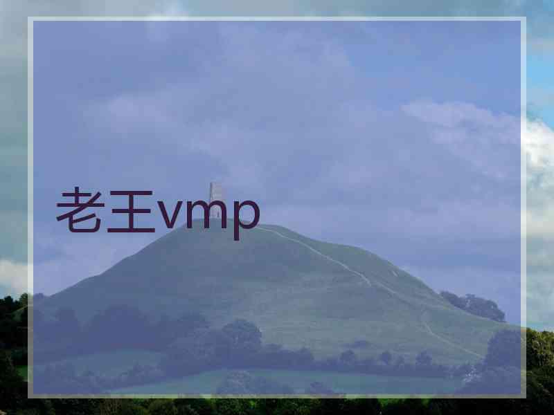 老王vmp