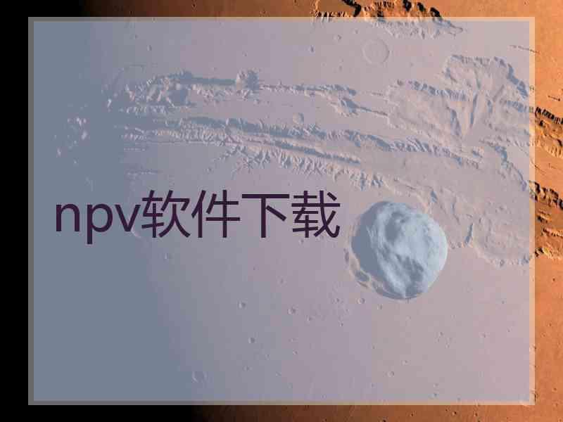 npv软件下载