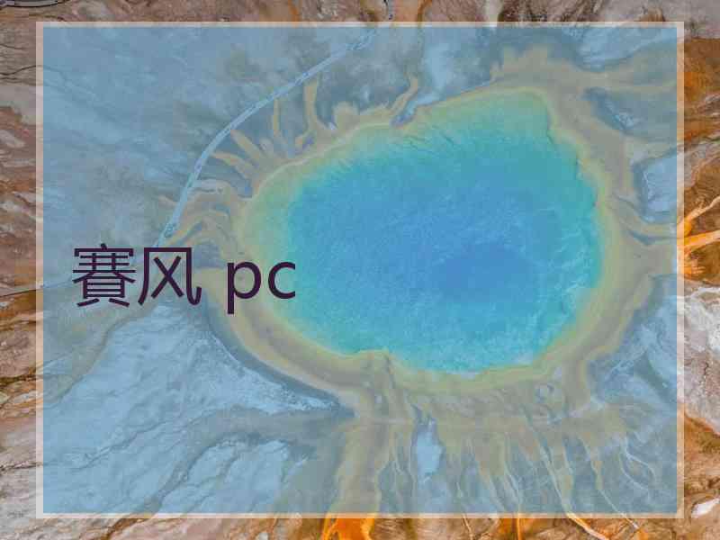 賽风 pc