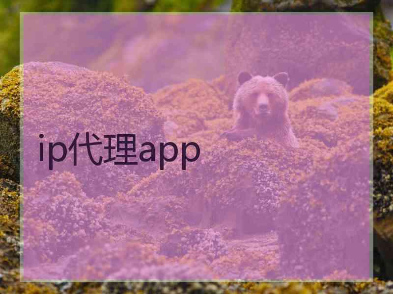 ip代理app