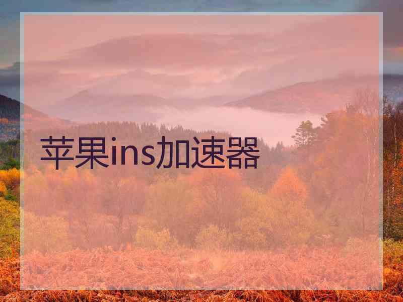苹果ins加速器