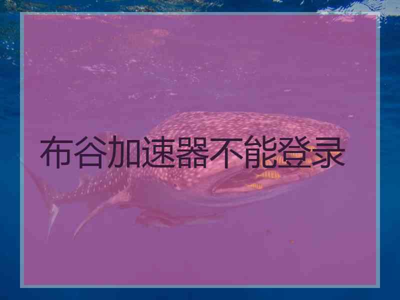 布谷加速器不能登录