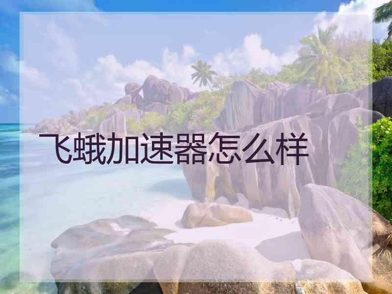 飞蛾加速器怎么样