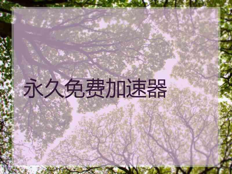 永久免费加速器