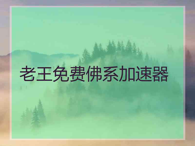 老王免费佛系加速器