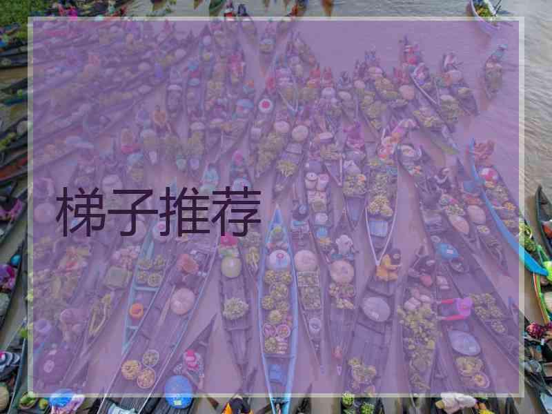 梯子推荐