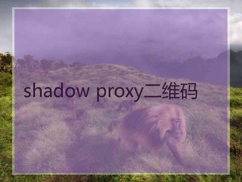 shadow proxy二维码