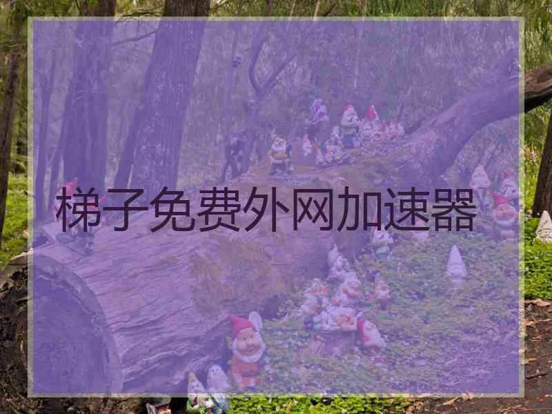 梯子免费外网加速器