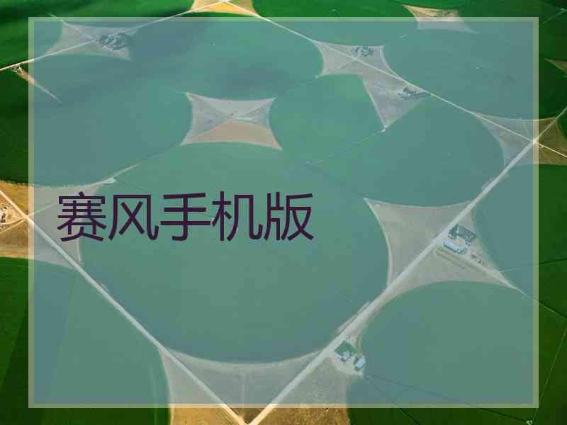 赛风手机版