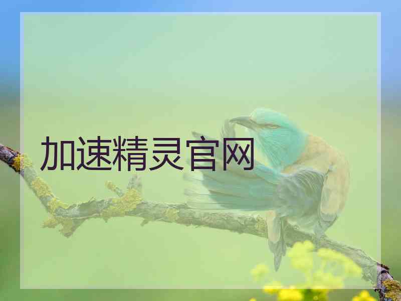 加速精灵官网