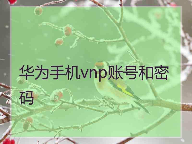 华为手机vnp账号和密码