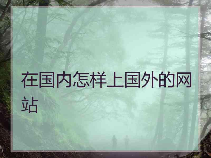 在国内怎样上国外的网站