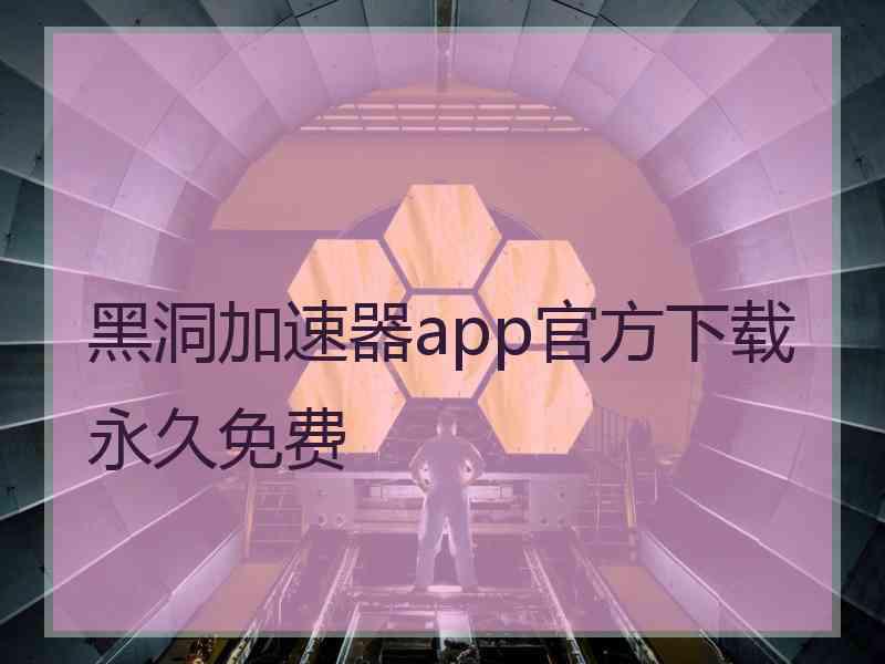 黑洞加速器app官方下载永久免费