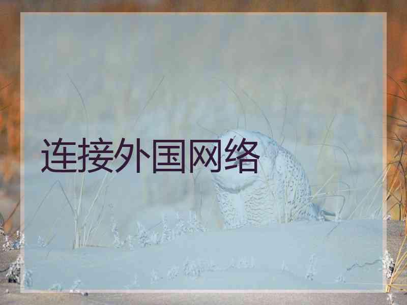 连接外国网络