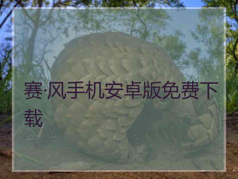 赛·风手机安卓版免费下载