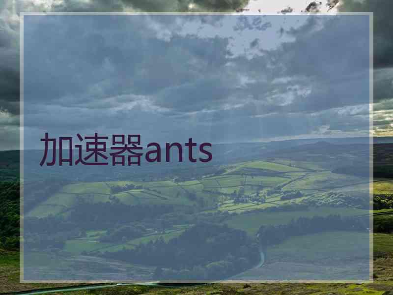 加速器ants