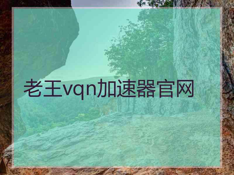 老王vqn加速器官网