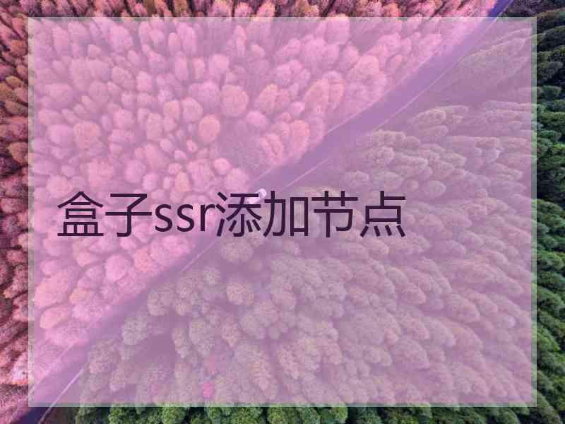 盒子ssr添加节点