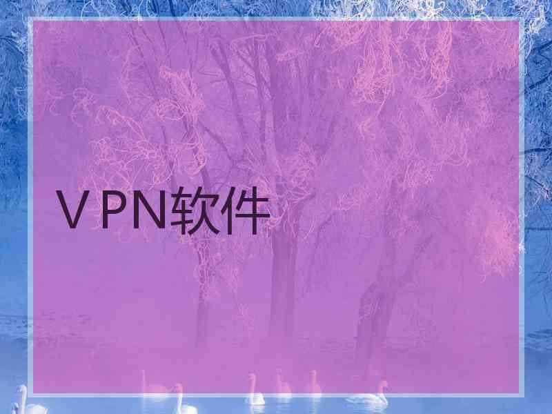 ⅤPN软件
