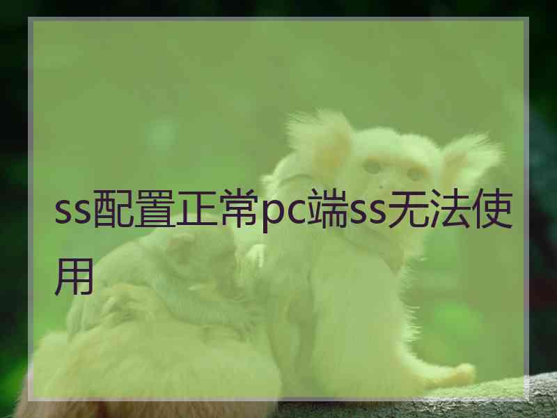ss配置正常pc端ss无法使用