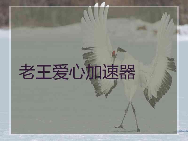 老王爱心加速器