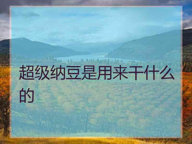 超级纳豆是用来干什么的