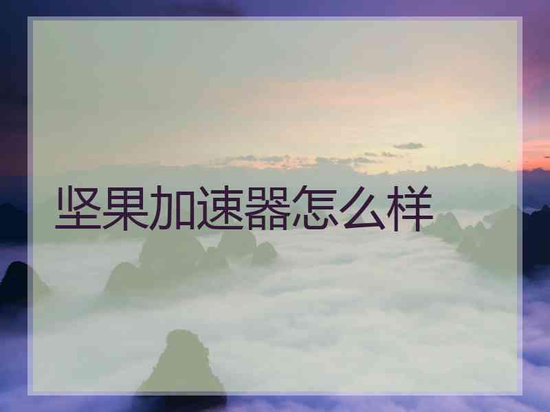 坚果加速器怎么样