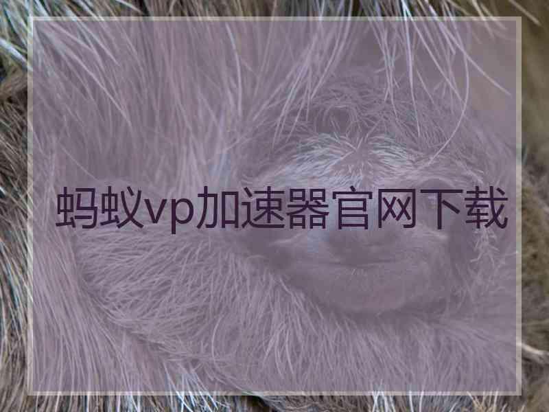 蚂蚁vp加速器官网下载